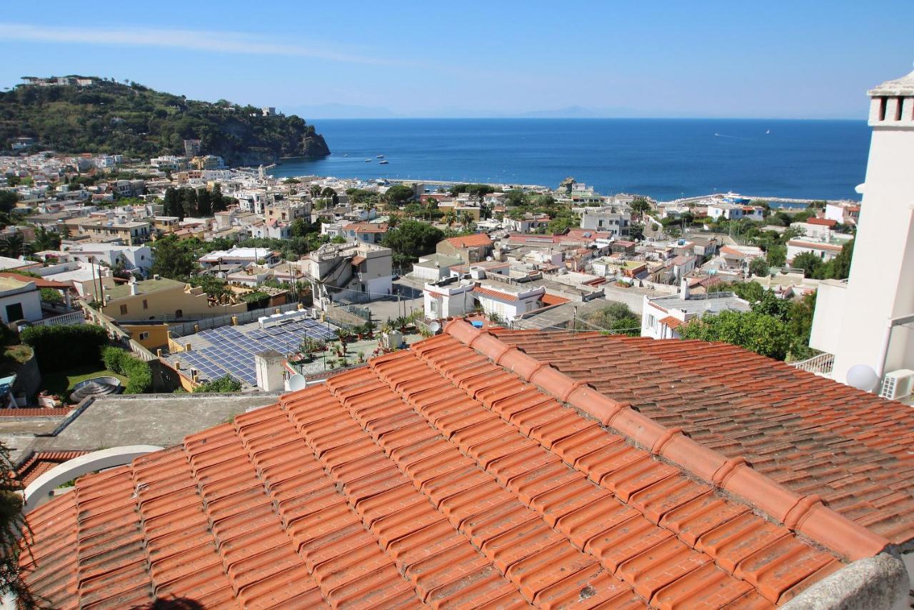 Lacco Terrace Solarium Lacco Ameno  Exterior foto