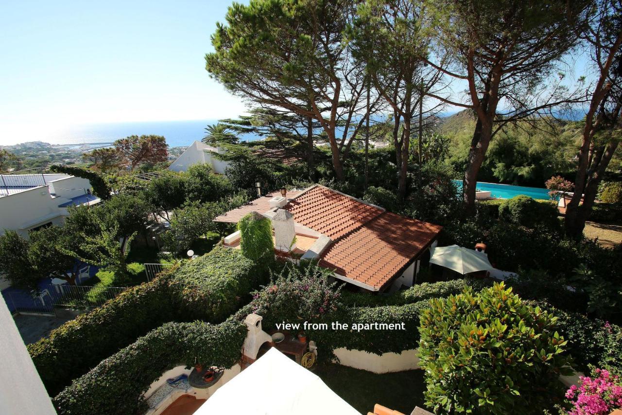 Lacco Terrace Solarium Lacco Ameno  Exterior foto